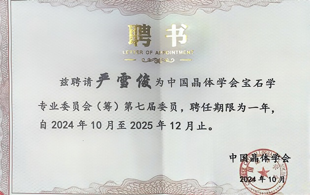 集团技术专家严雪俊被聘为中国晶体学会宝石学专业委员会（筹）专家委员.jpg